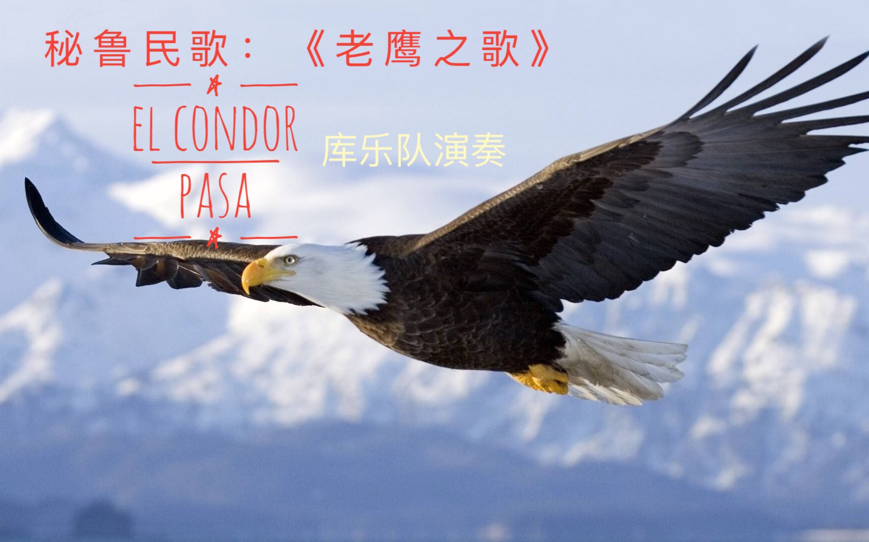 [图]逗逼的羊驼：库乐队演奏秘鲁民歌《EI condor Pasa》（老鹰之歌）（第十期）