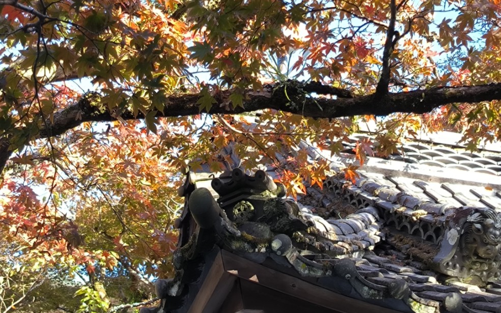 伊豆修善寺之秋