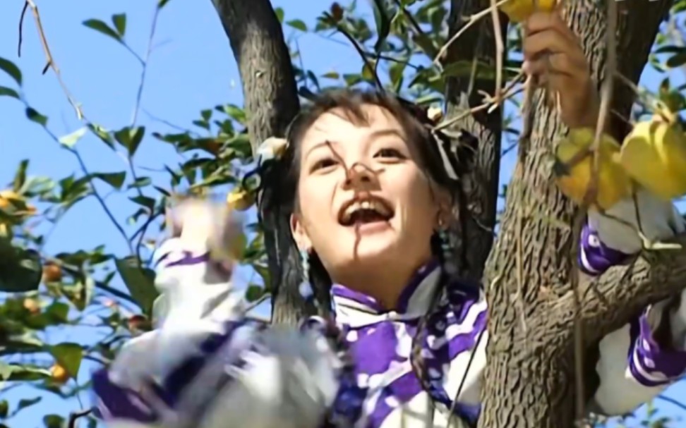 小燕子在柿子园被狗追-还珠格格第二部31-5