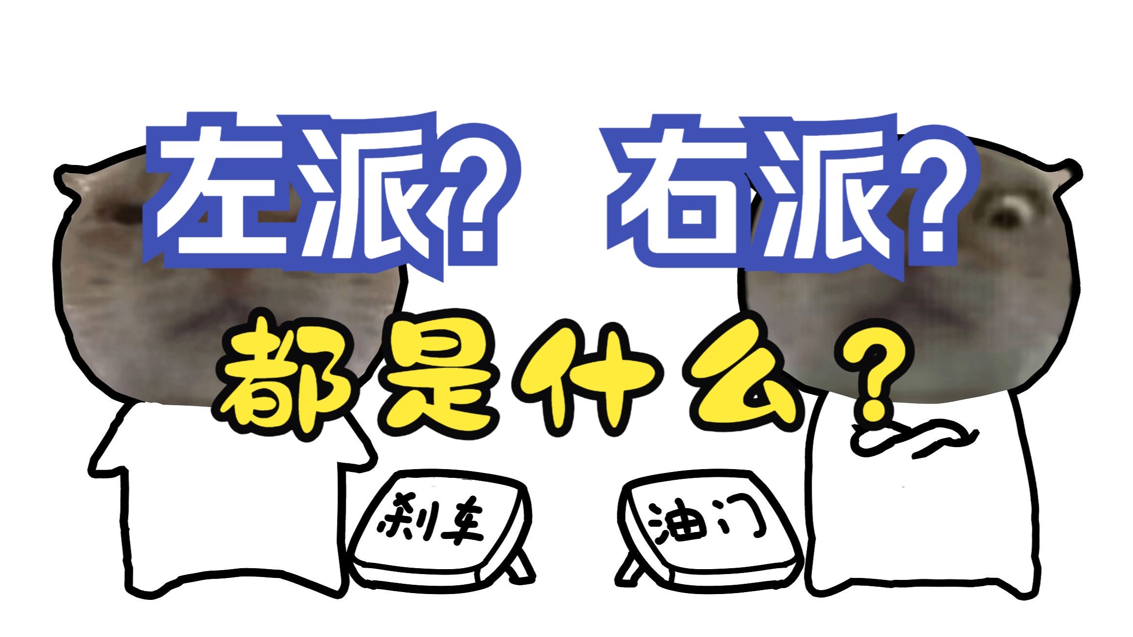 什么是左右？什么是网左?