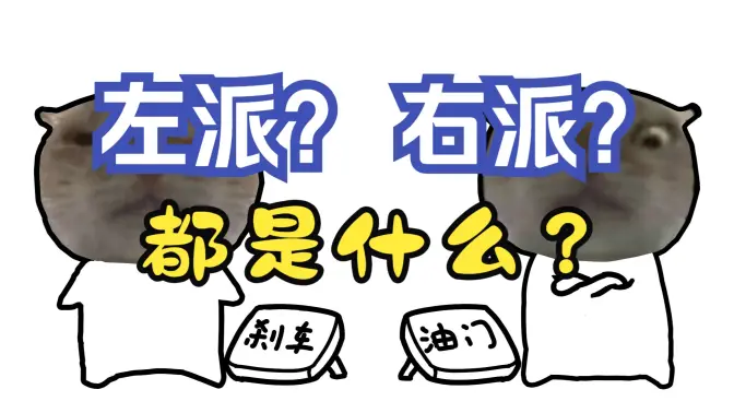 什么是左右?什么是网左?