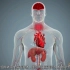 【3D动画演示】埃博拉病毒感染的全过程