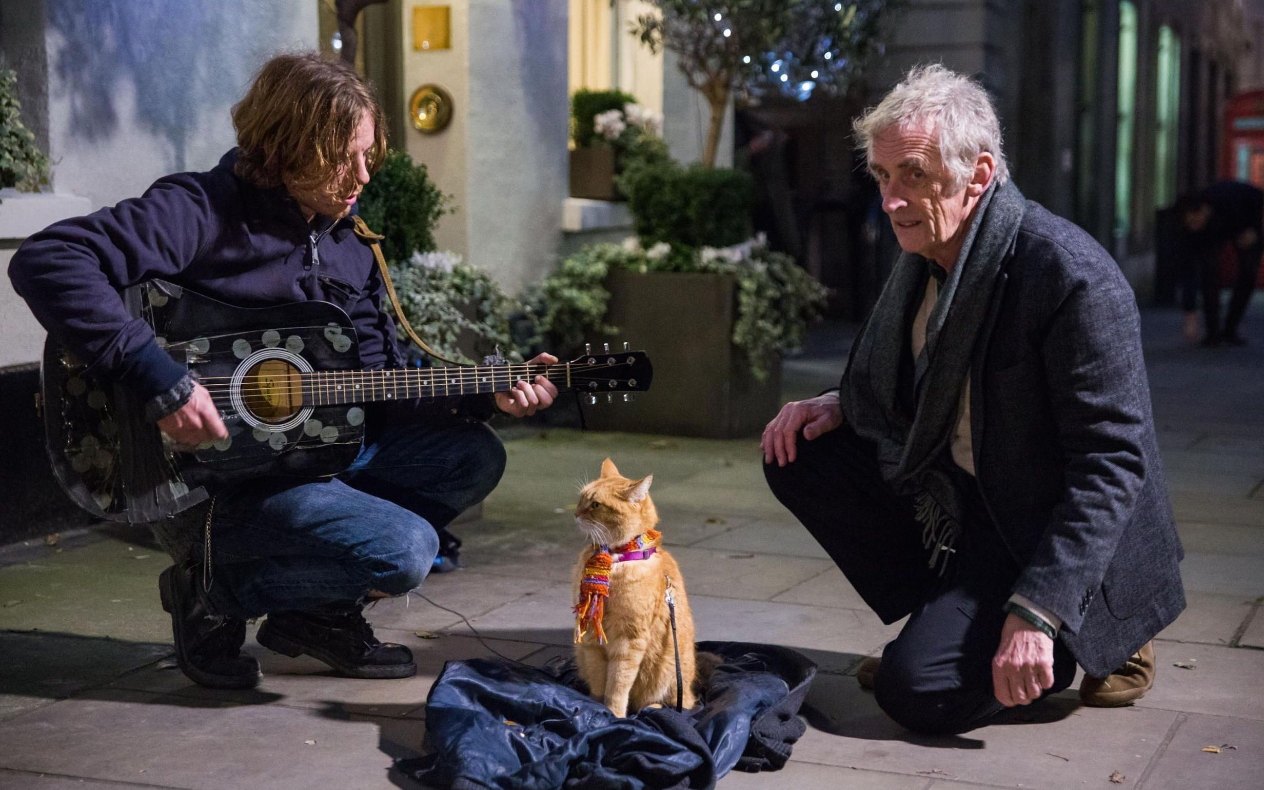 熟肉中英字幕流浪猫鲍勃街角遇见猫当bob来敲门电影幕后花絮