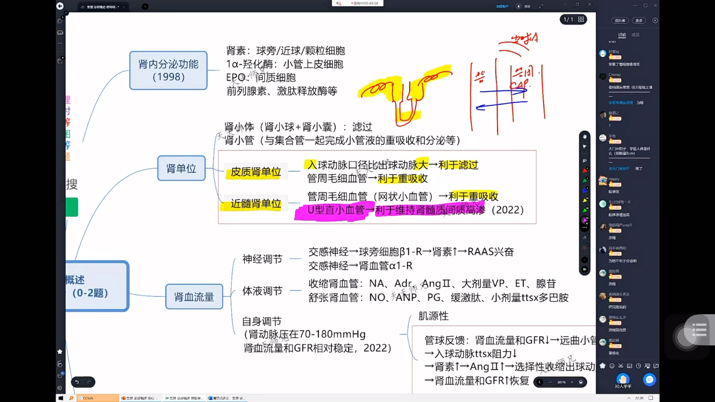 生理学-泌尿系统-泌尿概述 思维导图ttsx(自用 侵删)