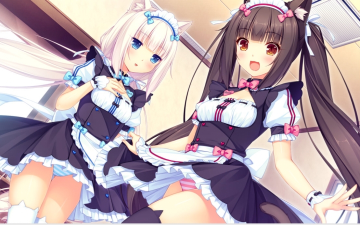 [图]您的猫娘已到楼下，请签收。【nekopara1】P3