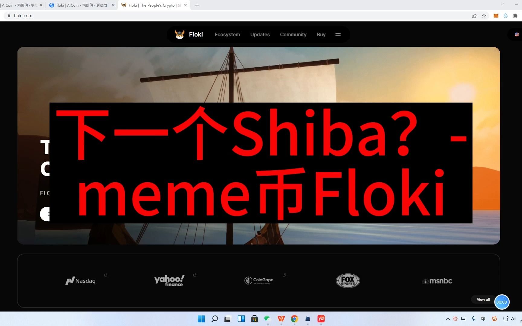 下一个SHIB?meme币floki哔哩哔哩bilibili