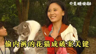 富家小姐离奇失踪，岂料警察抓到偷内裤的花猫，竟直接破案！影视