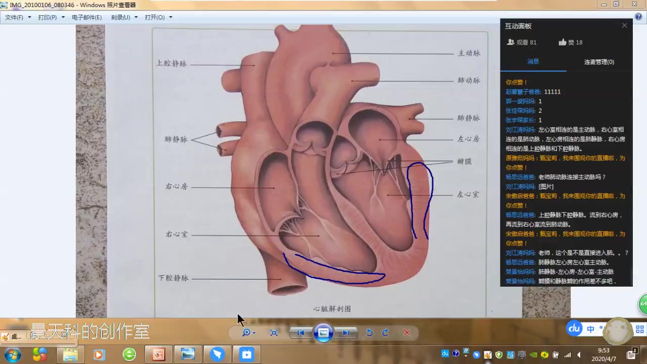 实播网课 初中生物七下49 输送血液的泵——心脏2哔哩哔哩bilibili