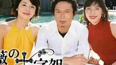 蔷薇的十字架-哔哩哔哩_Bilibili