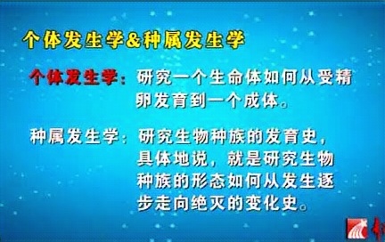 复旦大学 系统功能语言学中的个体发生学 全2讲 主讲朱永生 视频教程哔哩哔哩bilibili