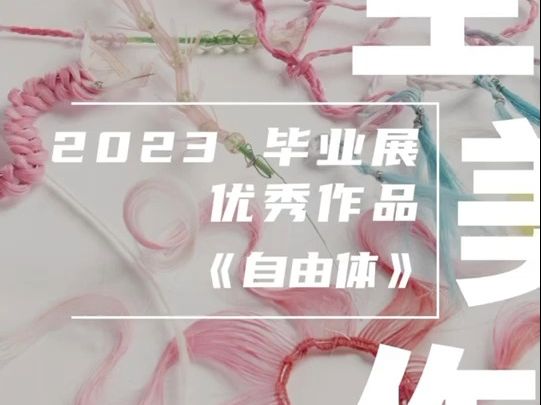 美生美作 2023毕业展优秀作品|设计艺术学院|《自由体》哔哩哔哩bilibili