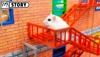 【垂直视频】仓鼠小偷逃离监狱迷宫 🐹 Homura Ham