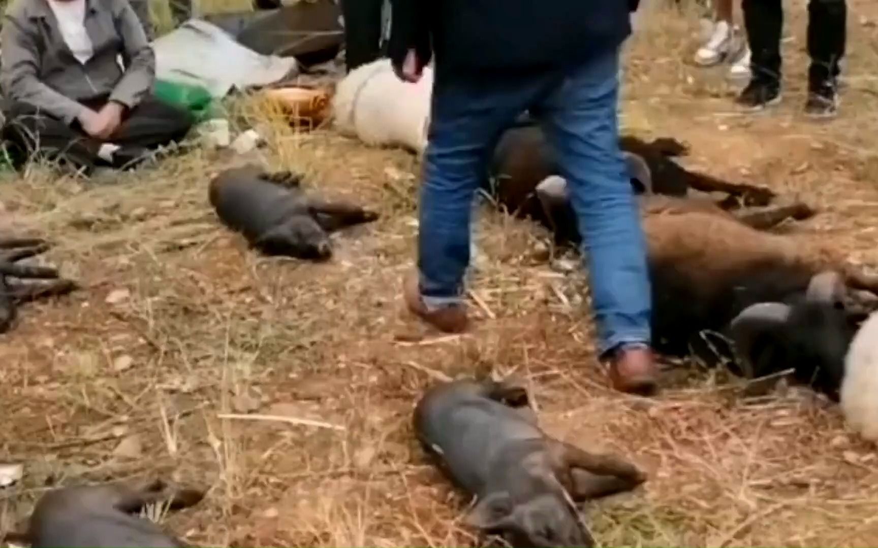 大凉山彝族酒席遍地都是肉,用推车铲子胶纸装肉,惊呆了哔哩哔哩bilibili