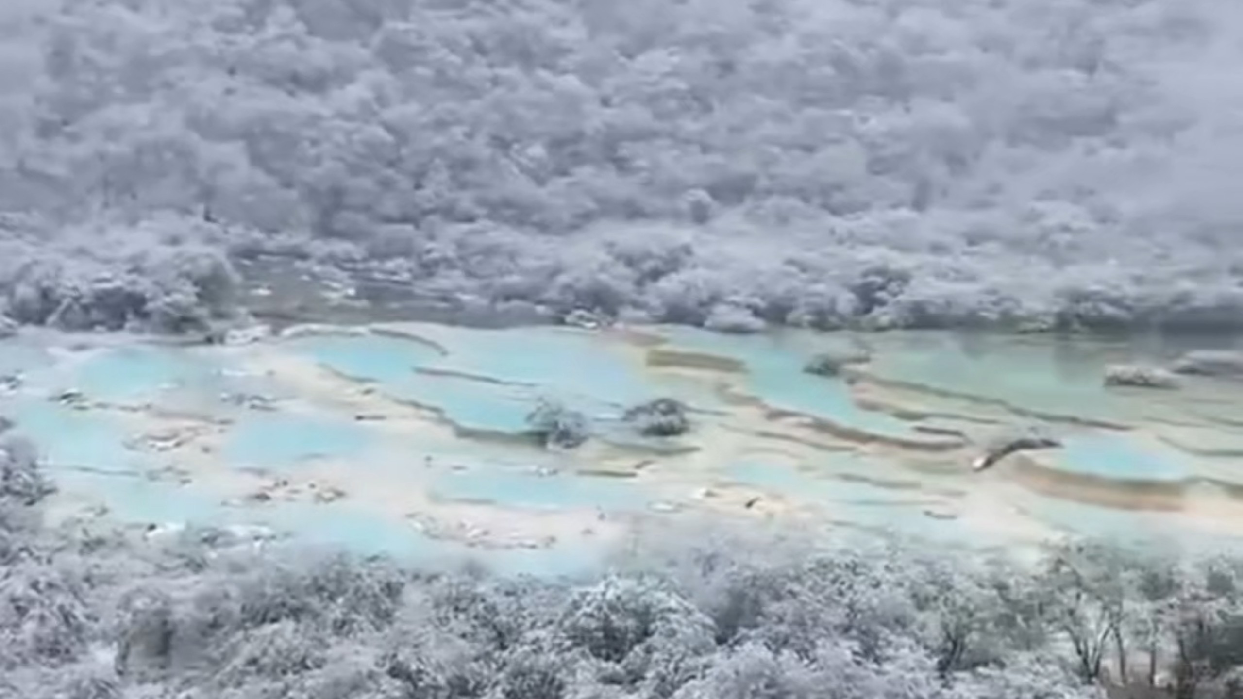 今天黄龙下了秋天的第一次雪，太惊喜了