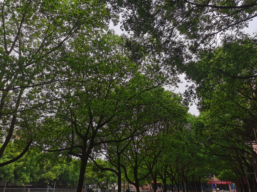 [图]雨霁风光，春分天气天气转凉，记得添衣