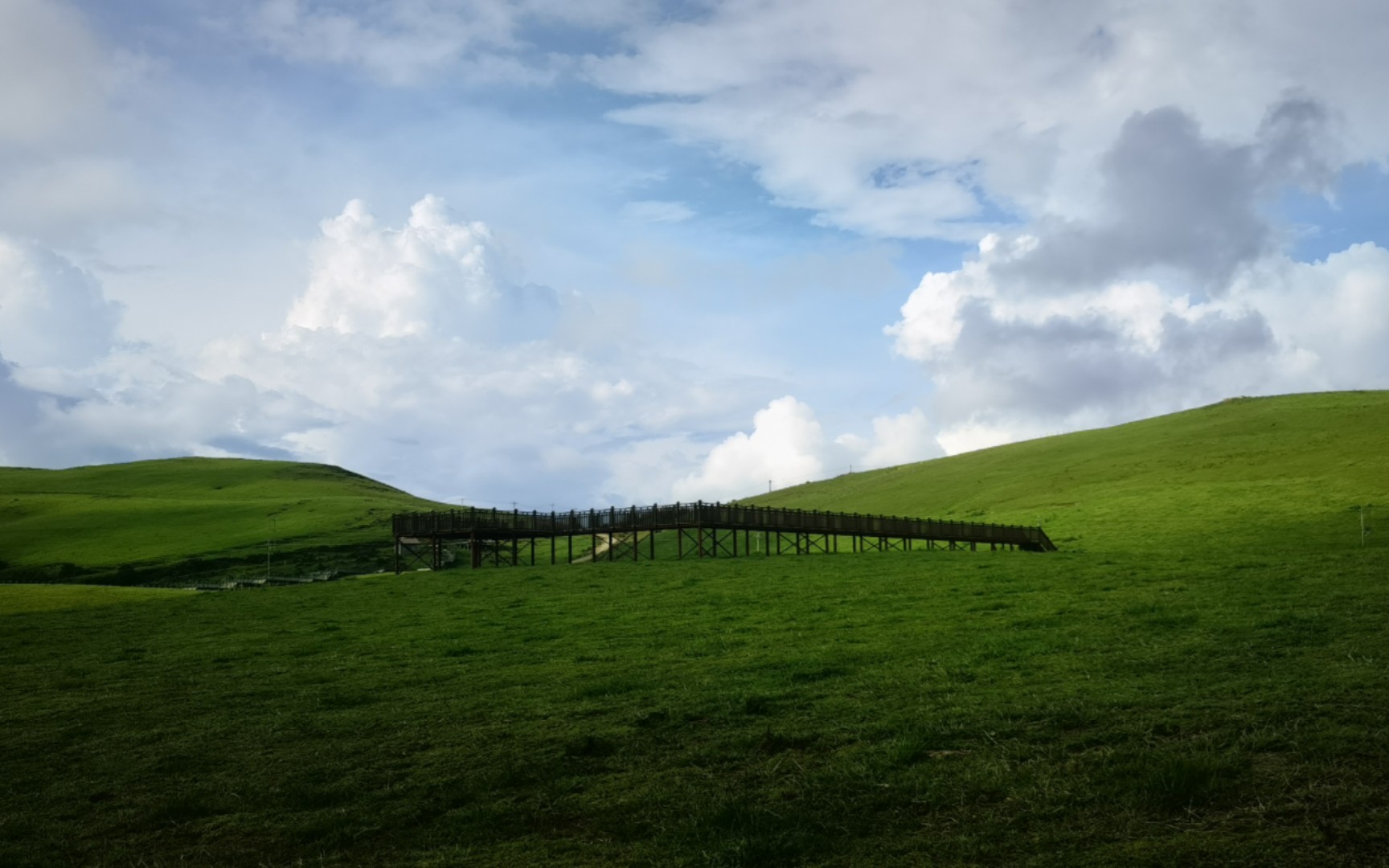 存存,腾冲东山草原