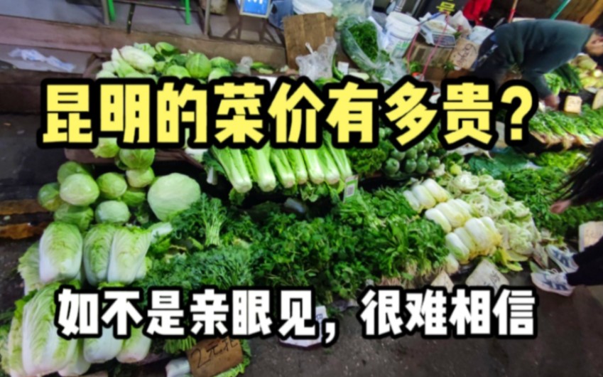 昆明物价有多高?实拍昆明某农贸市场菜价,如不是亲眼见很难相信哔哩哔哩bilibili