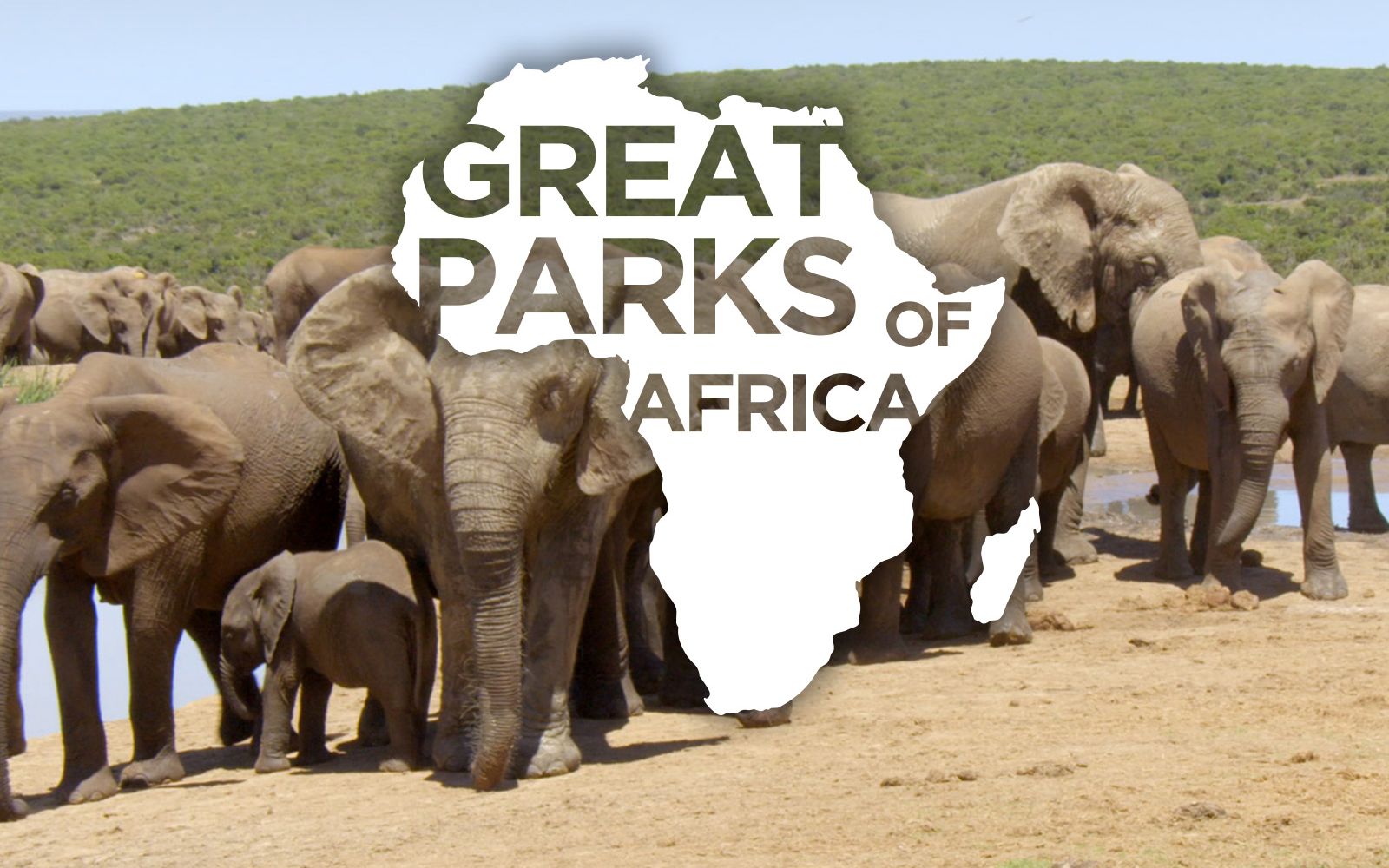 [图][英语英字]了不起的非洲公园 第一季 Great Parks of Africa Season 1 (2016)