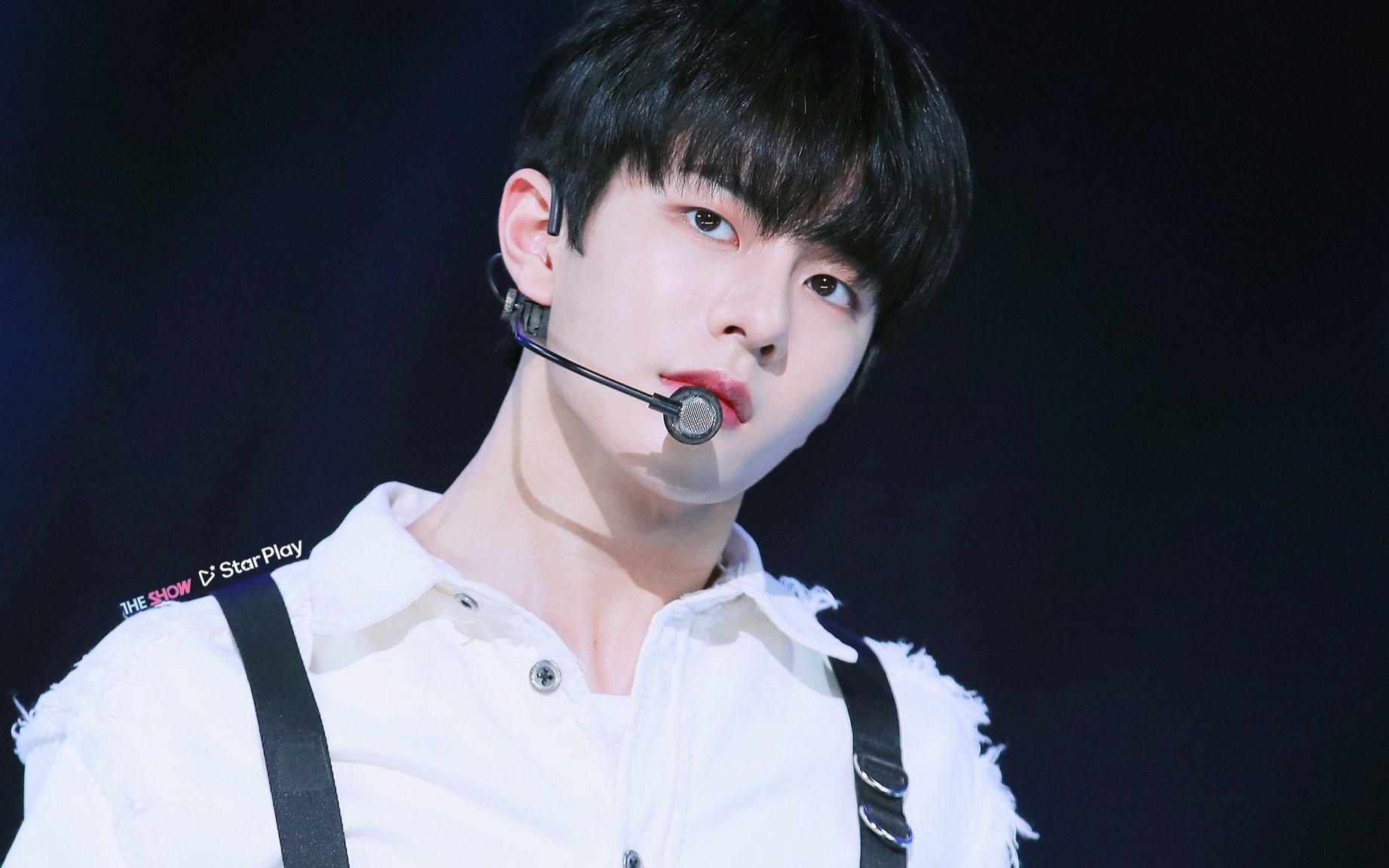 【爱啵中字】190824 崔普闵生日直播_哔哩哔哩 (゜-゜)つロ 干杯