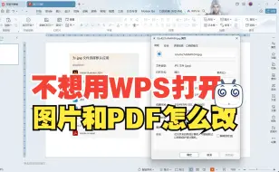 Download Video: 不想用WPS来打开图片和PDF，该怎么进行设置？