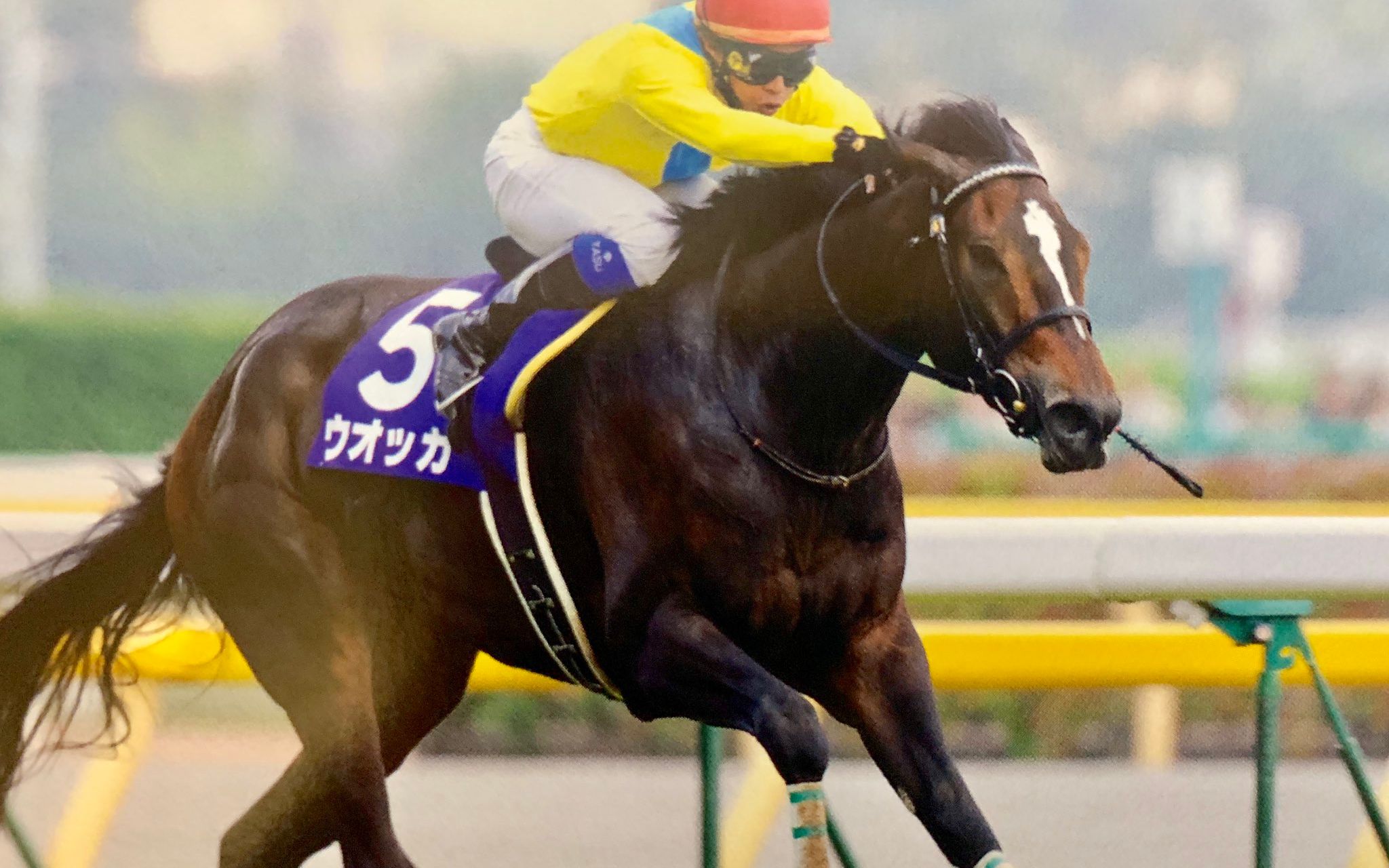 伏特加g1胜鞍赛事合集