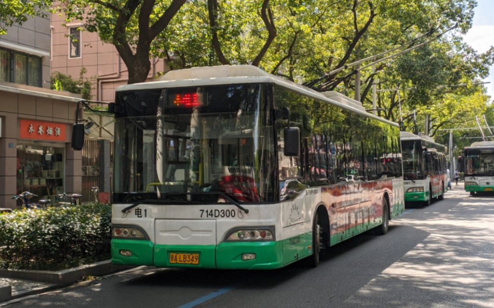 pov86 - 武汉公交电1线路前方展望(去行) 电车中的元老线路_哔哩哔哩