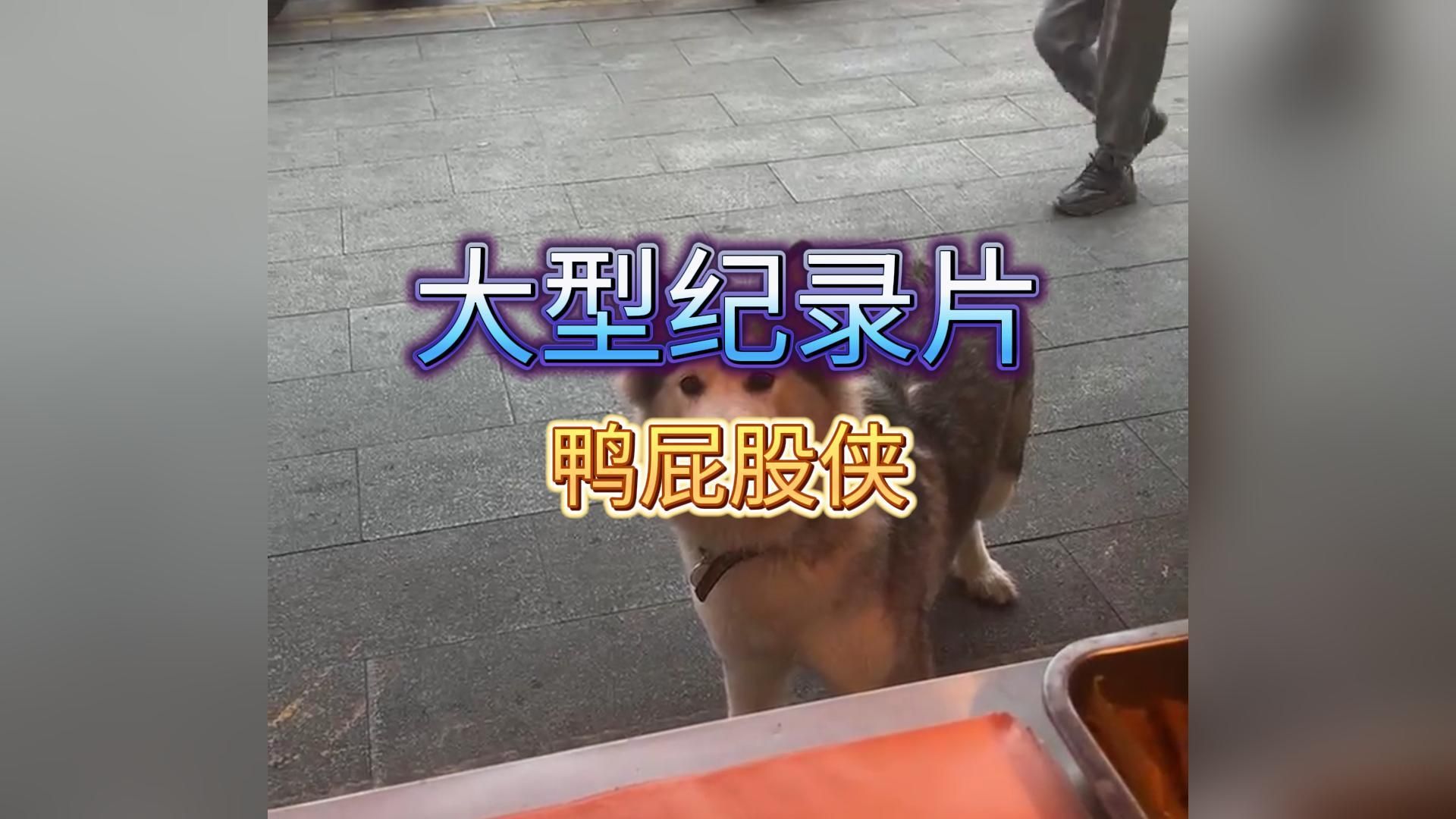 大型纪录片《鸭屁股侠》