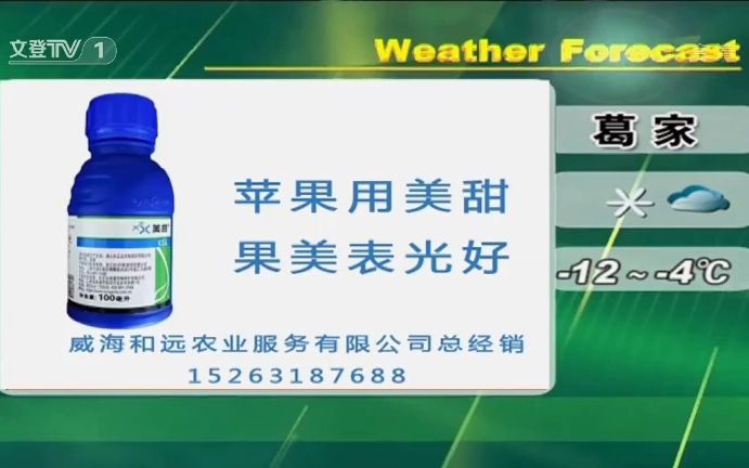 山东文登电视台一套转播《转播央视新闻联播》哔哩哔哩bilibili