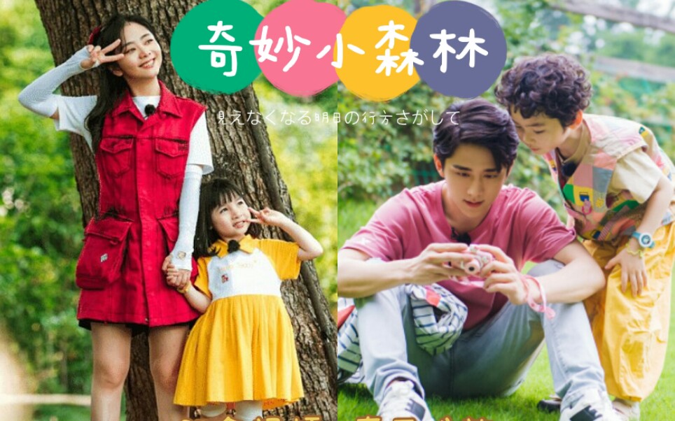 奇妙小森林纪念视频新韵有幸再见1记录本哥第一部常驻综艺1张新成