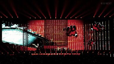 蓝光原盘iso】【JP】=LOVE ARENA TOUR 2025「~Timeless Tales~」国立代