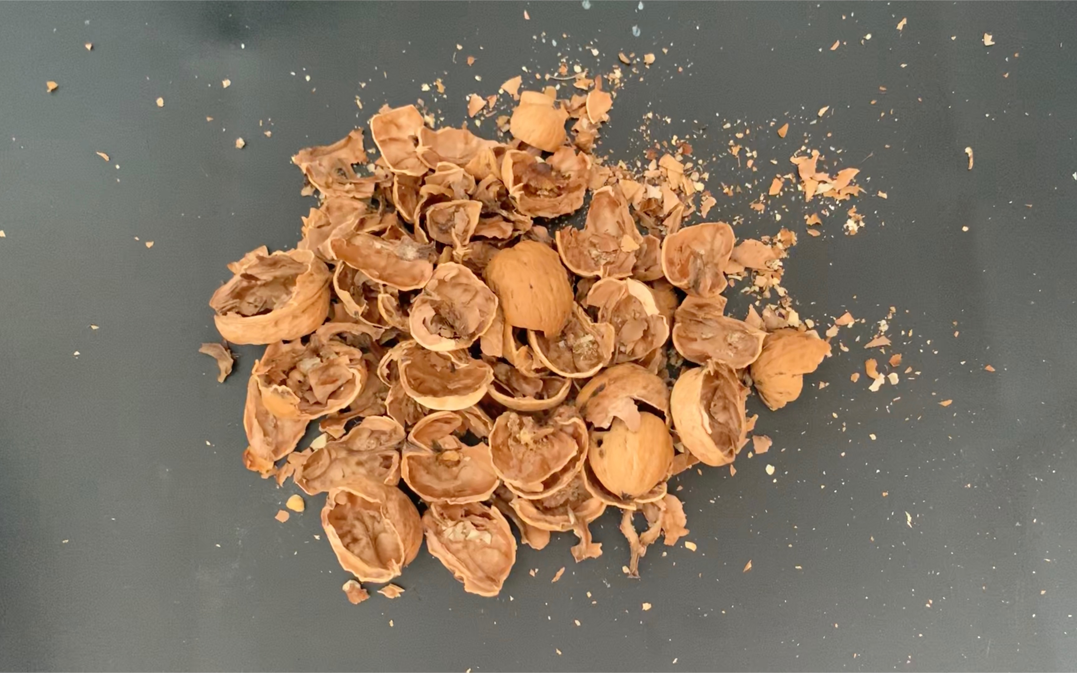 吃完核桃壳别扔,简单煮煮还有这用法,可惜知道的人太少,快学