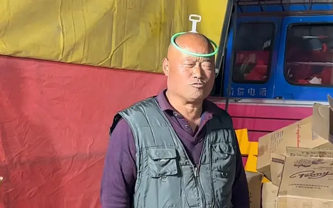 训鹅老板实在是高,一看到训鹅的头都疼