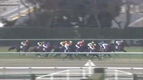 有馬記念 哔哩哔哩 Bilibili