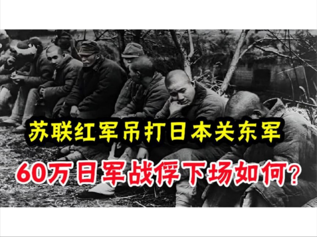 1945年,150万苏联红军吊打日本关东军,60万日军战俘下场如何?哔哩哔哩bilibili