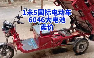 Télécharger la video: 1米5国标电动车 6046大电池 卖价