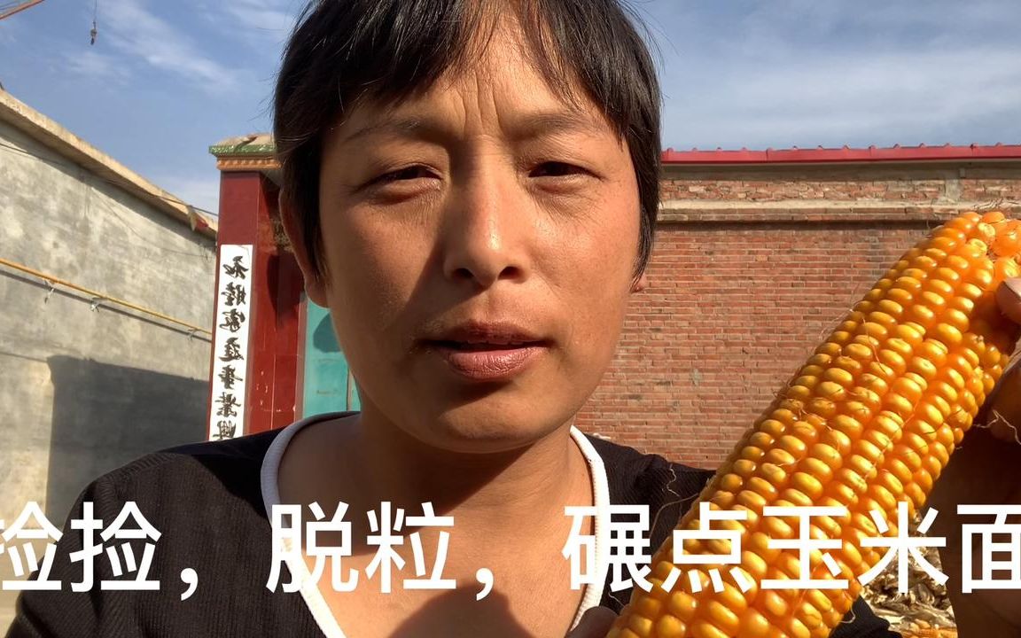 尿毒症憨媳妇精挑细选玉米,确保每一个玉米都是优质的,累并快乐