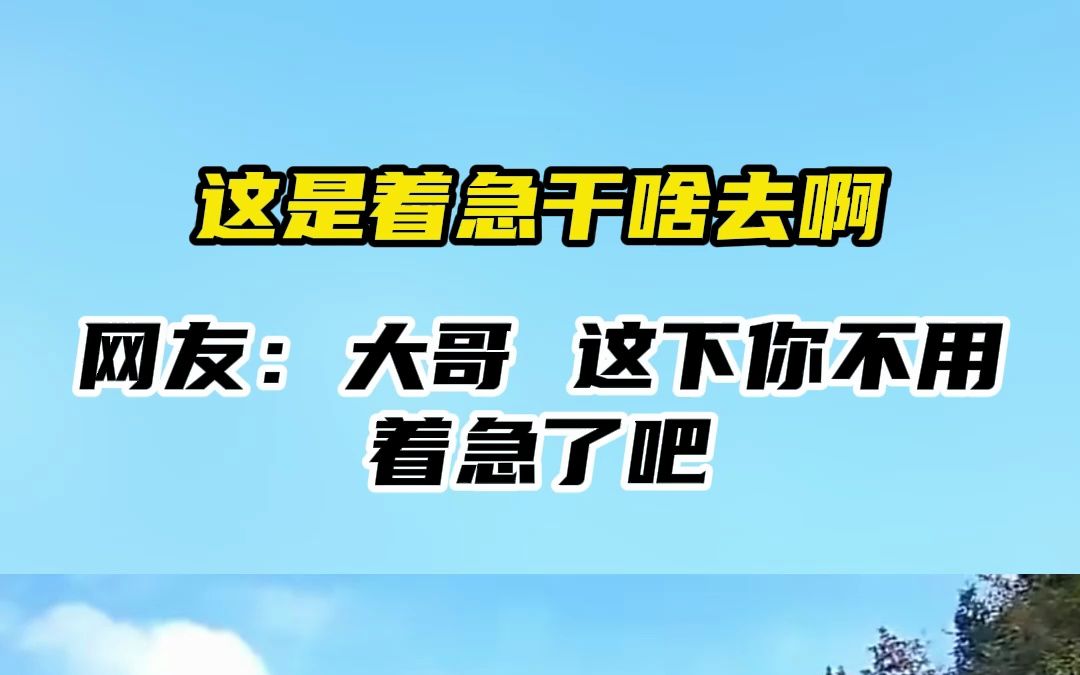 这是着急干啥去啊