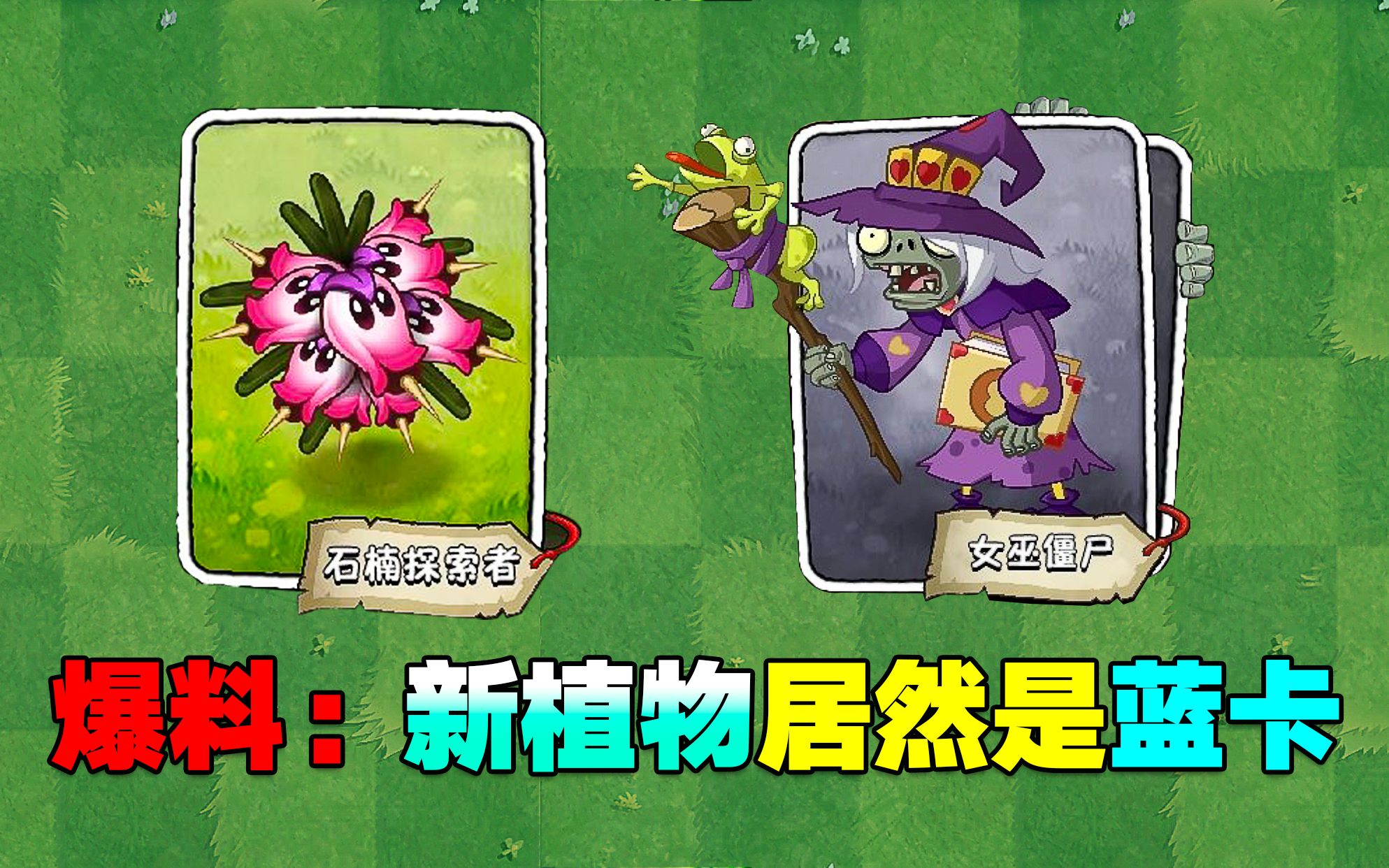 pvz爆料:石楠探索者是蓝卡?还能白嫖?