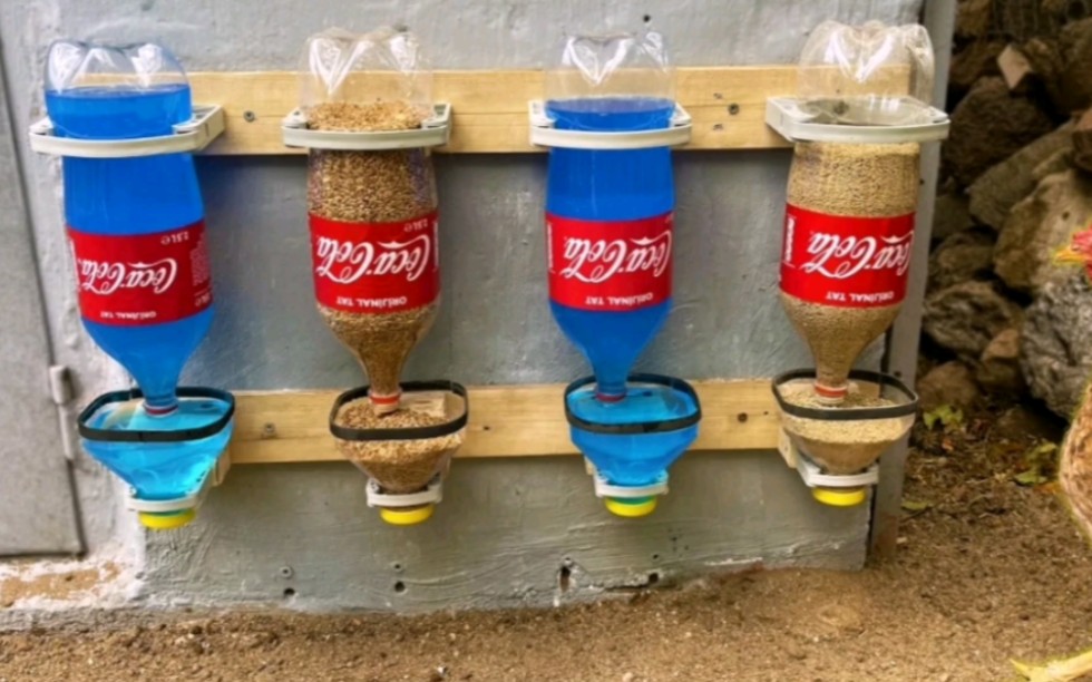 用废弃塑料瓶制作自动喂鸡神器 ,喂料饮水两不误,简直太方便了