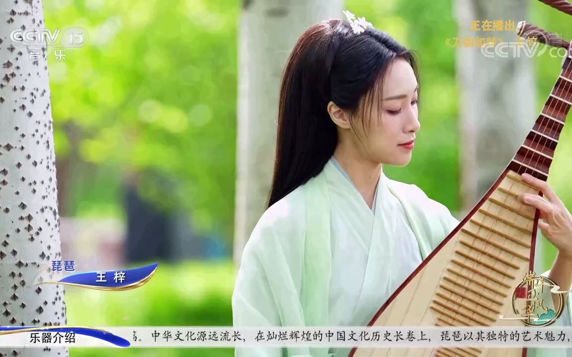 [图]【琵琶】王梓 - 刀剑如梦