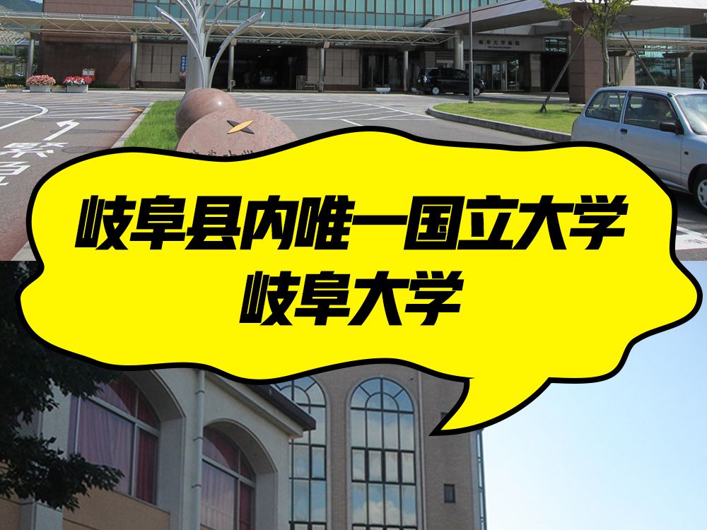 岐阜县内唯一国立大学,岐阜大学