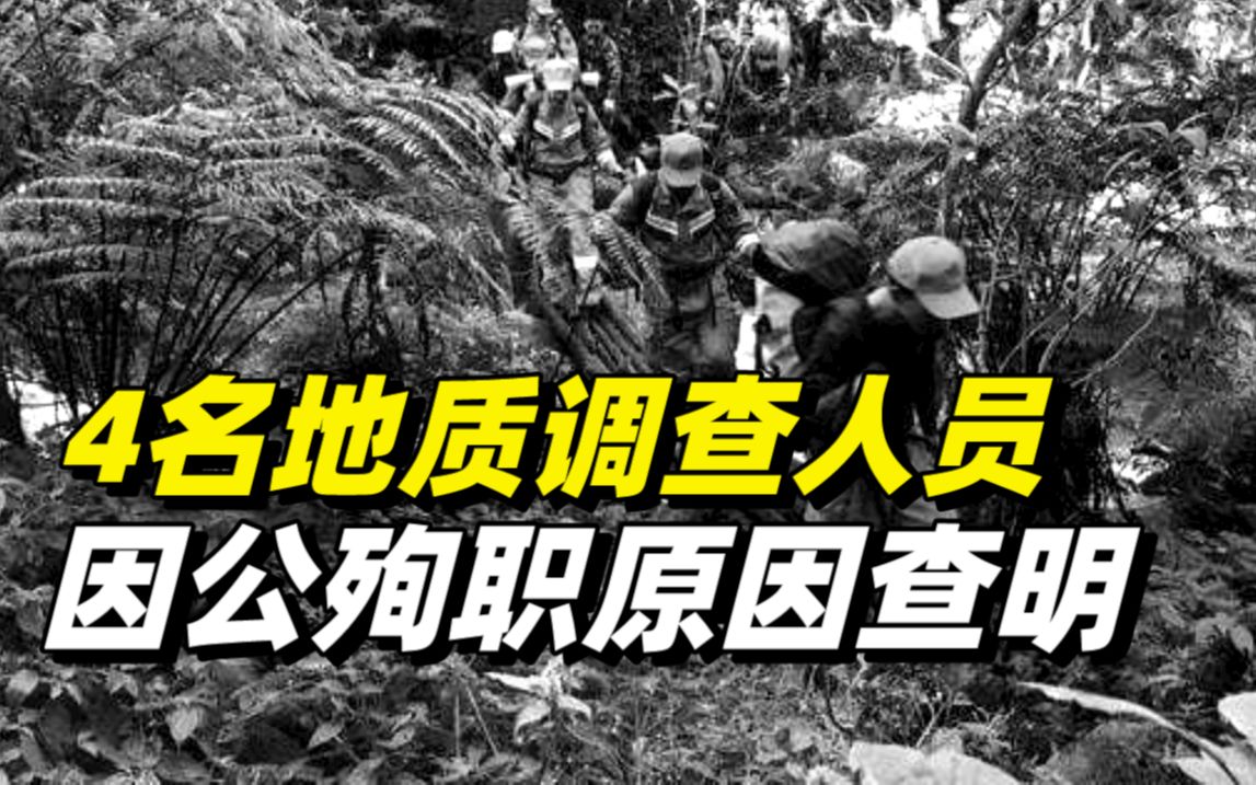 云南哀牢山4名地质调查人员因公殉职原因查明:人体失温是主因哔哩哔哩bilibili