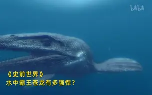 Descargar video: 【史前世界】看点2：水中霸王苍龙有多强悍？竖版