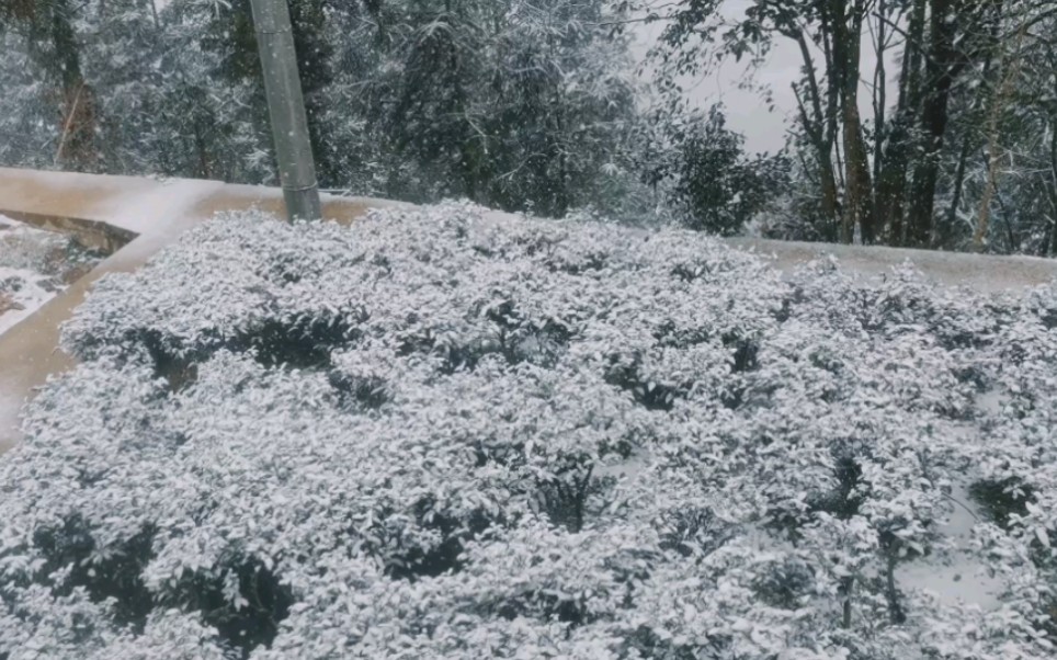 [图]广西都下雪了我也该释怀了