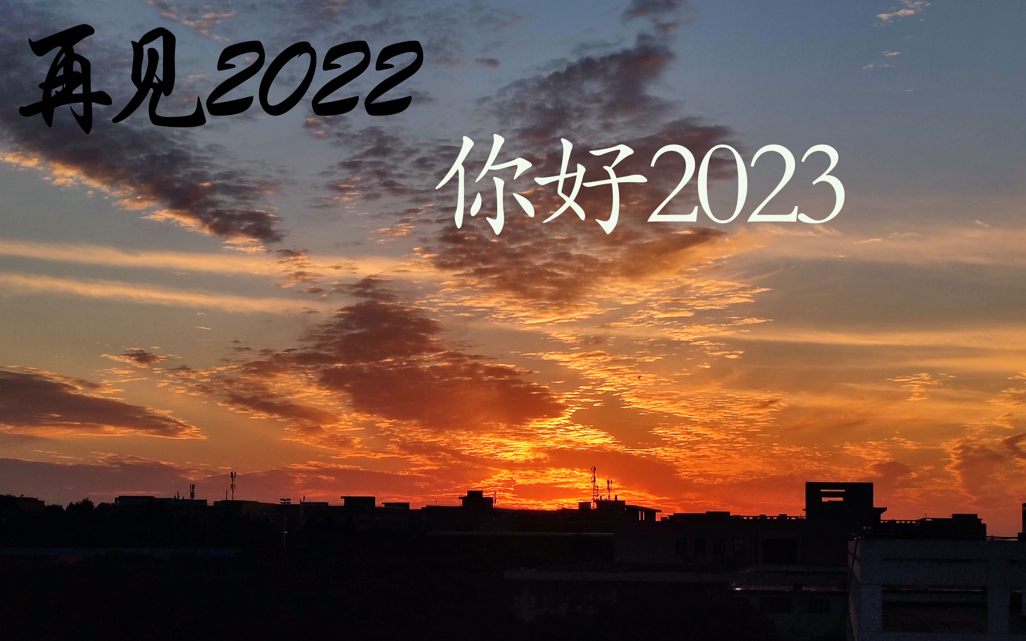 我的2022年总结