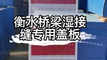 黑河湿接缝防护网厂家 黑河圆孔湿接缝防护网规格尺寸 湿接缝防护网#湿接缝防护网厂家#湿接缝防护网照片#哔哩哔哩bilibili