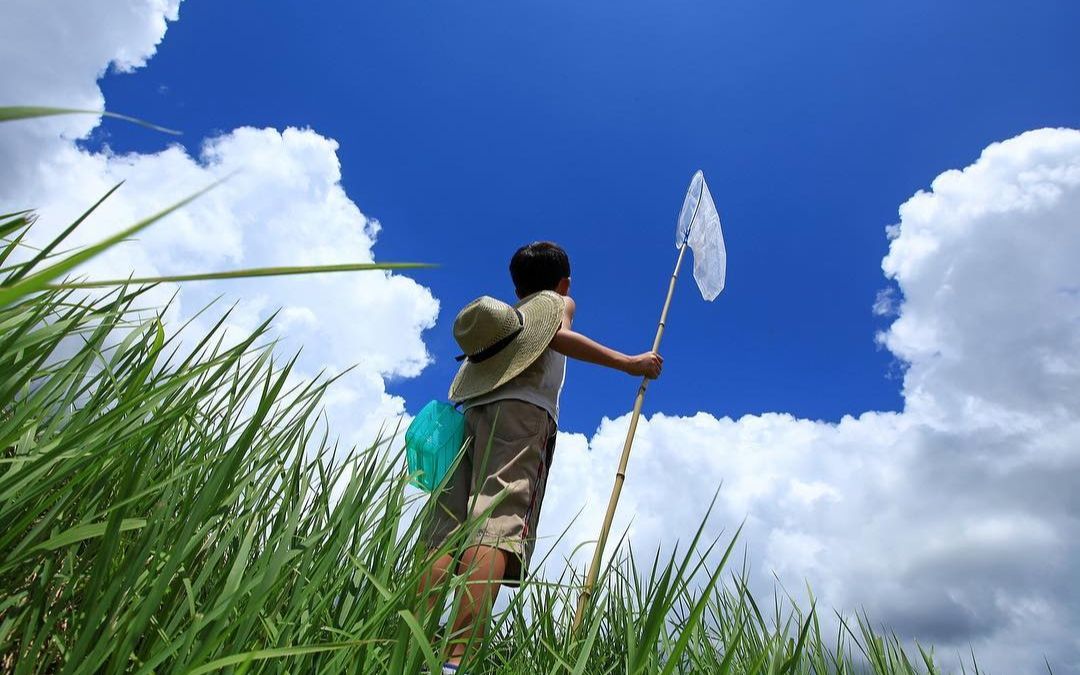 [图]摄影美学｜夏天永远都在，童年却只有一次 日本摄影师有馬猛儿童生活照摄影作品欣赏