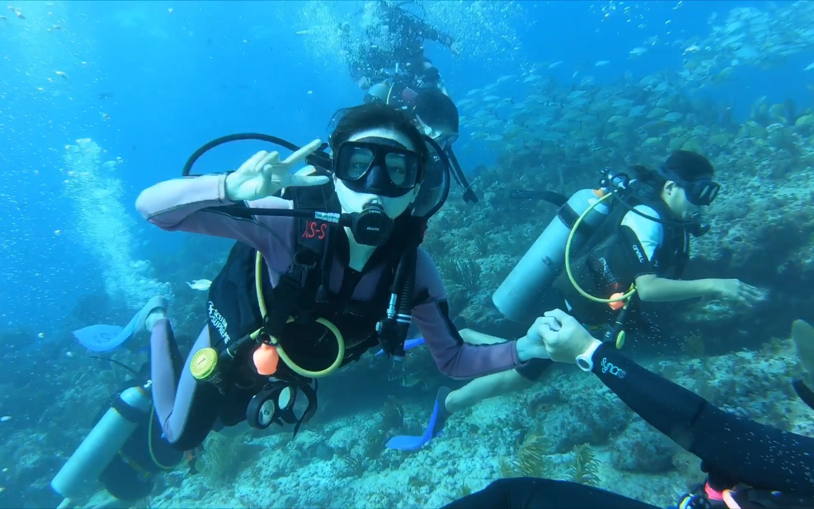 vlog 1 和我一起去坎昆潜水吧!