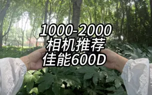 1000-2000相机推荐，佳能600d，1800百万像素，aps-c画幅，屏幕可以翻转，新手作为一台入门机，拿来拍拍人像风景还是非常不错的！