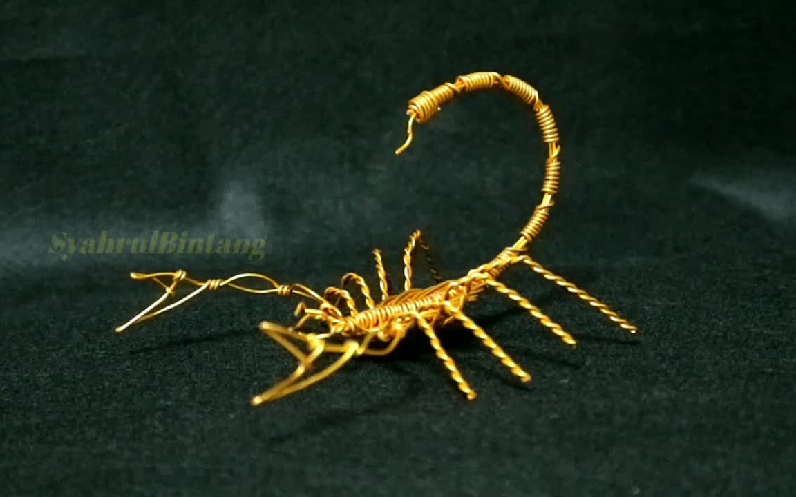 静默的美好手工制作的蝎子